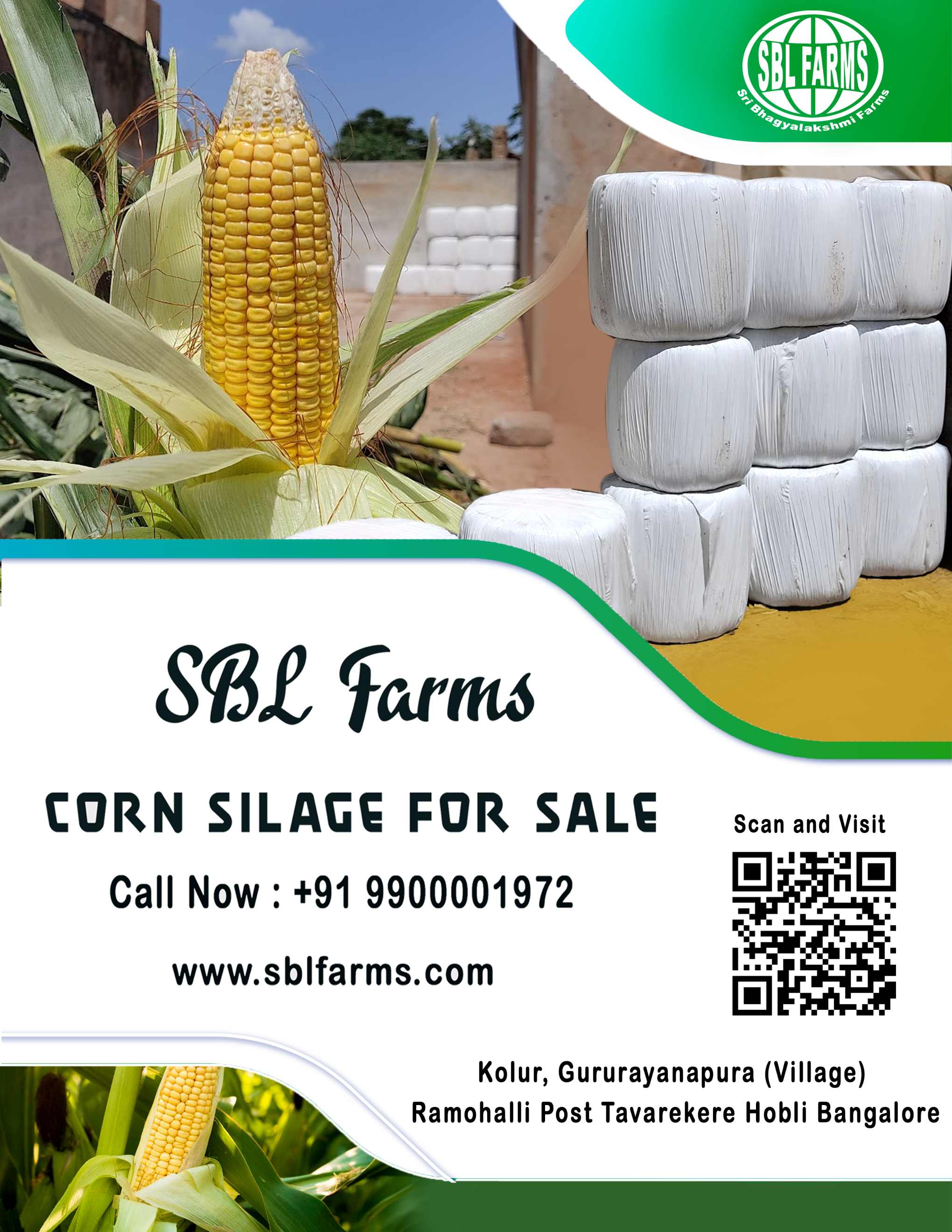 Corn Silage Suppliers in Bangalore | Corn Silage for Sale  |  Corn Silage, Baby Corn Silage manufacturers, suppliers & exporters in Bangalore | corn silage for sale in bangalore |  Sri Bhagyalakshmi Farms Corn Silage Bangalore| Silage Balers | Animal Feed Manufacturers | Production of Silage |Cattle feed manufacturers & suppliers - SBL Farms is solving the biggest fodder crisis in India, by supplying Silage bales, Bailing machines to dairy farmers, Cooperatives, Animal Husbandry | Best Cattle Feed Manufacturers & Silage Suppliers in India | Indias Best Baled Silage Producers